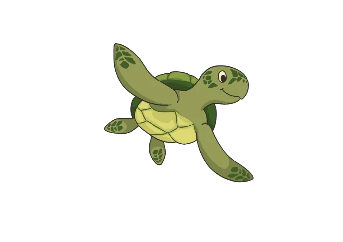 Sköldpadda