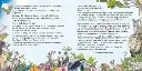Den klassiska berättarbibeln._Sida_005_600.webp