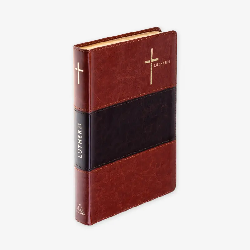 Bibel Luther 2.webp