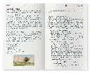Kärnbibeln_Inlaga_Ps-23.webp