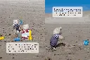 att dela ger glädje_2.webp
