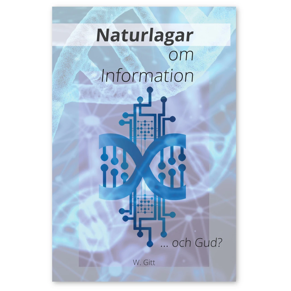 Naturlagar om information ... och Gud?