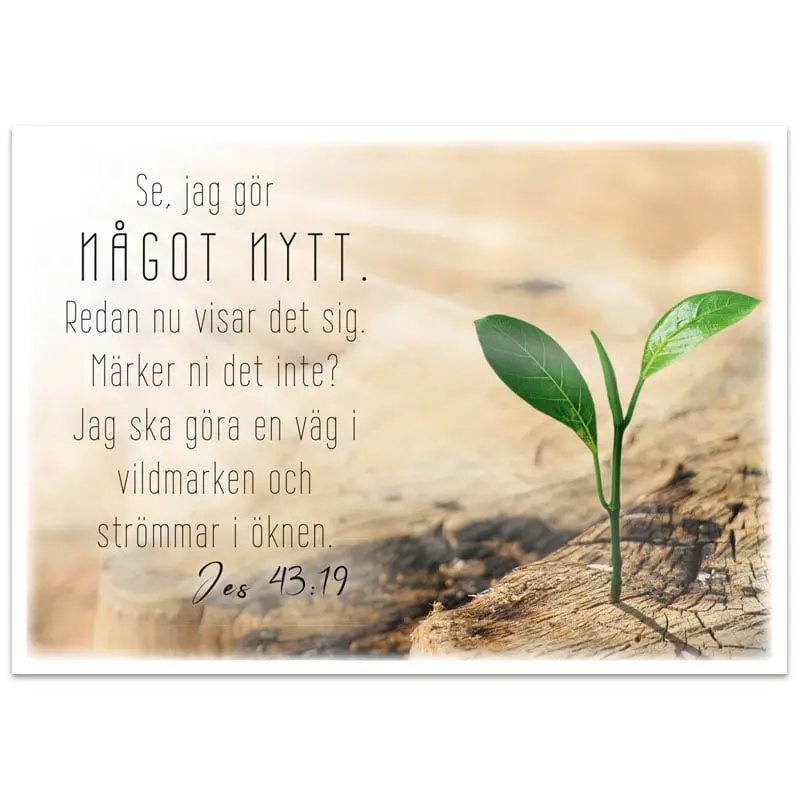Vykort – Se, jag gör något nytt
